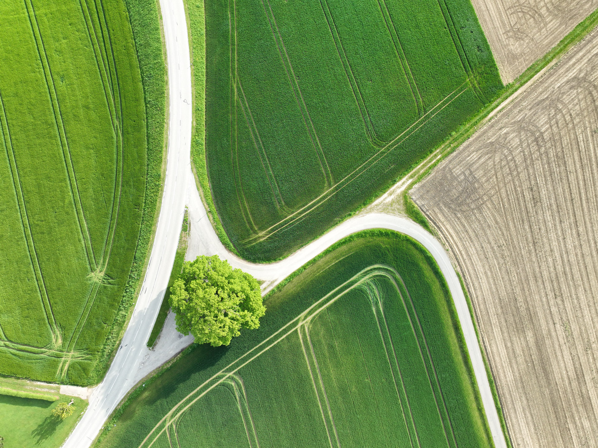 Drohnenaufnahme Vogelperspektive von Kaiserlinde mit Straßen und Felder in Weilbach