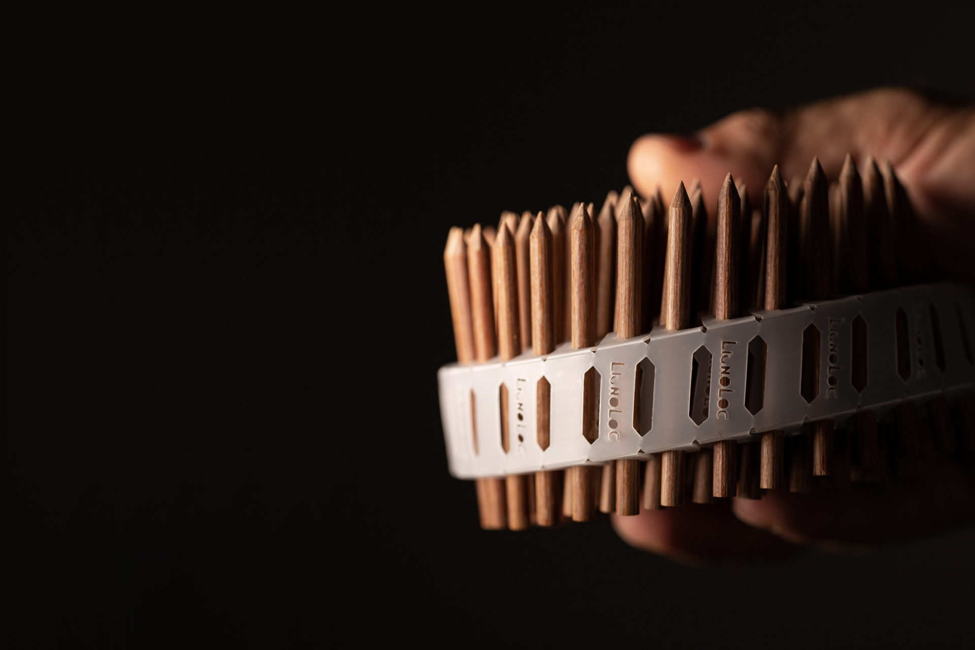 Coil Holznaegel Lignoloc in der Hand von Beck Beyond Fastening