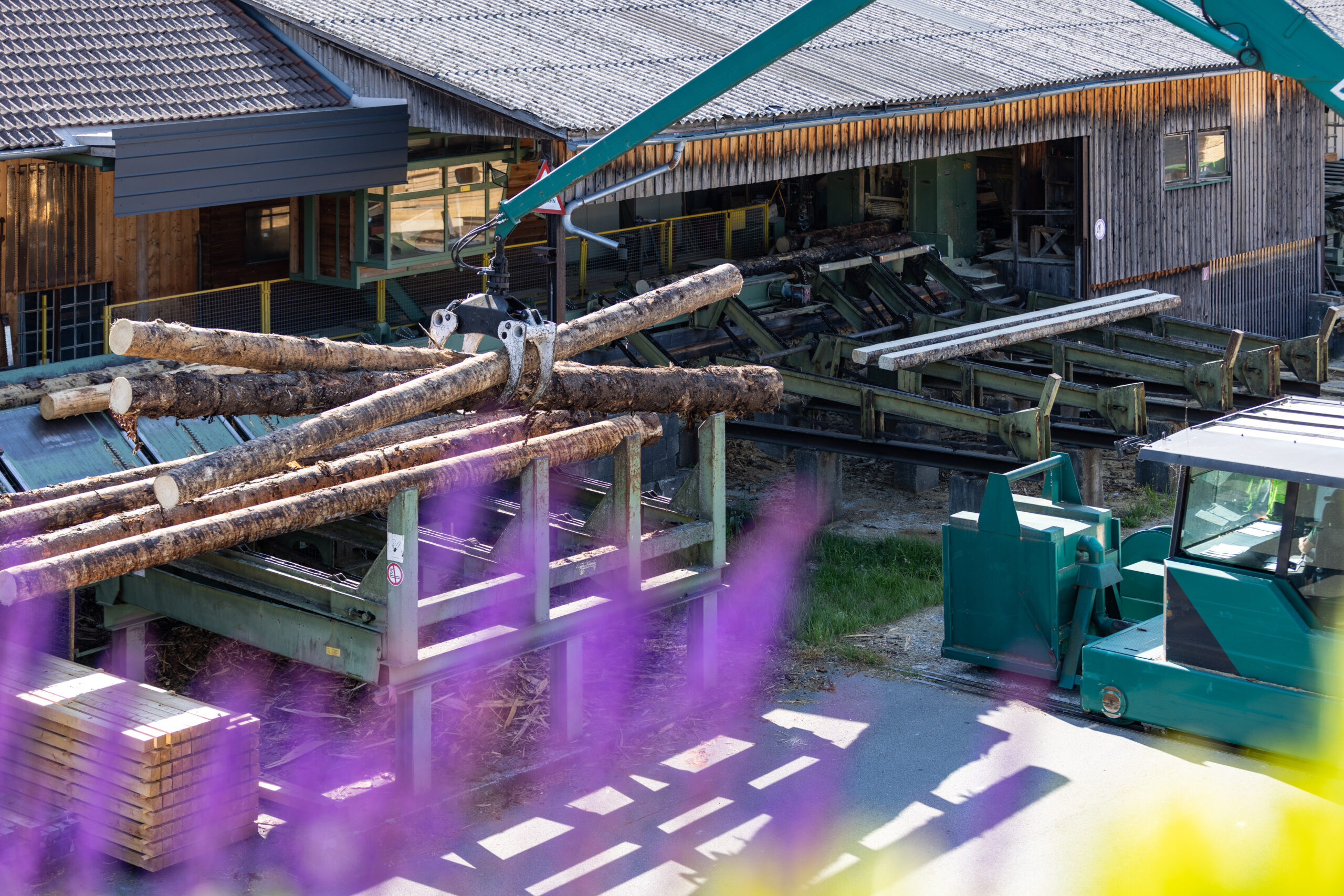 Baumstamm Anstellung zum Sägegatter