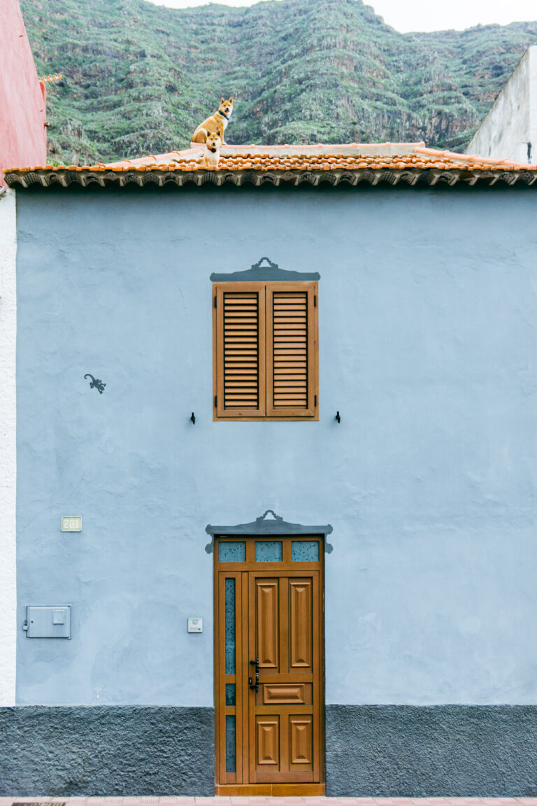 La Gomera Haus hellblau Hunde am Dach